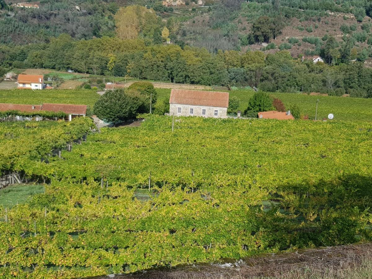 Villa Alzira Seia Exteriör bild